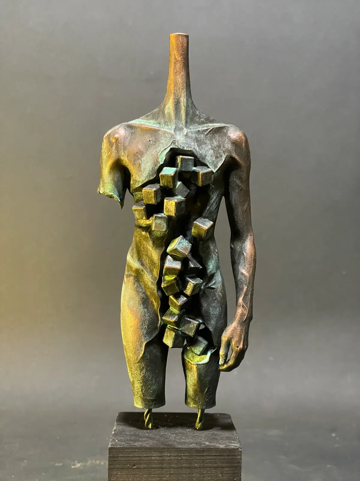 Data Body